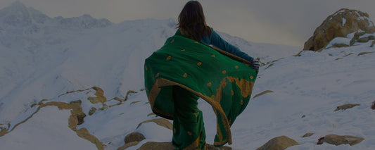 How This Solo Female Traveler In A Saree Found Kashmir