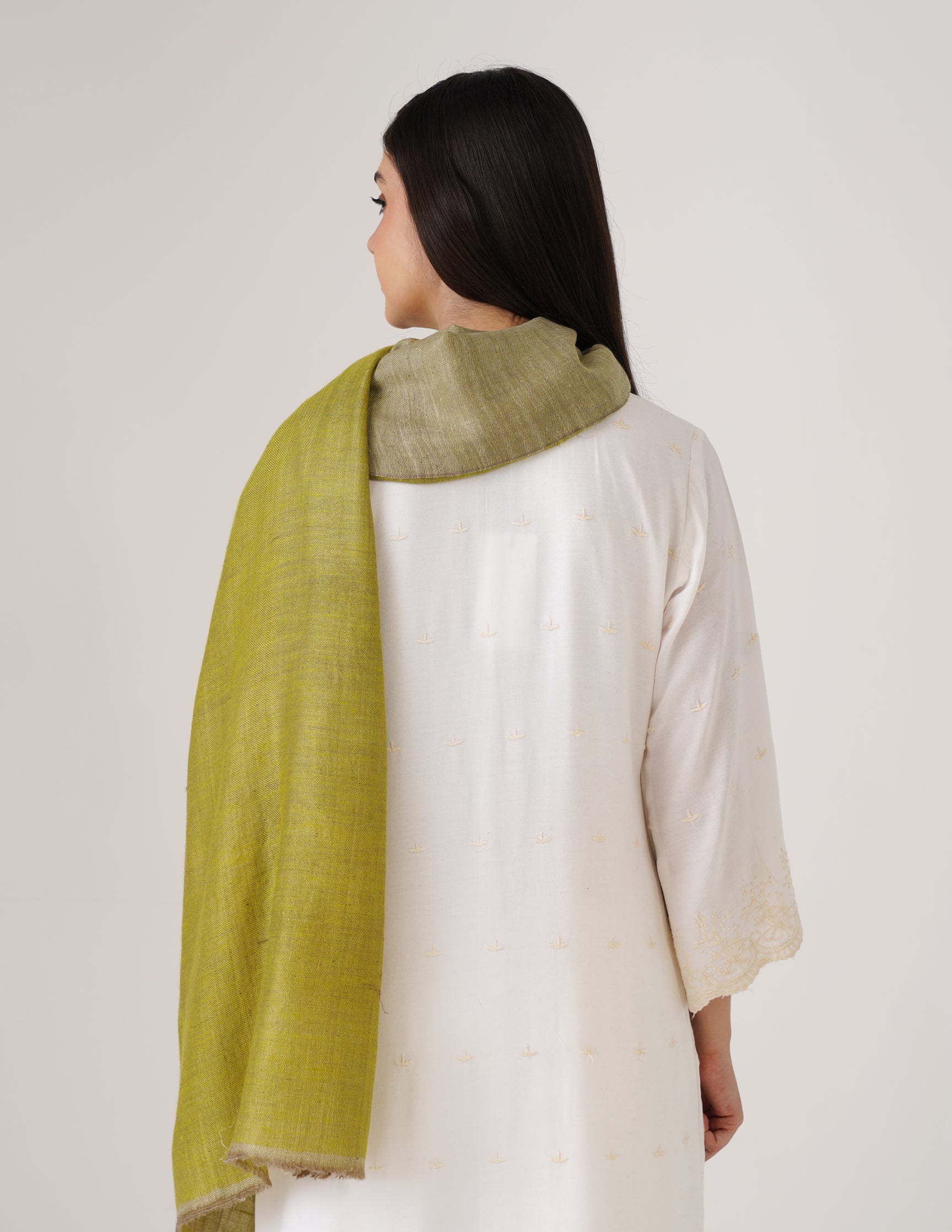 Kashmiri Handwoven Pashmina Reversible Stole – Olive Green & White Asparagus | Handwoven Heritage - Kashmir Box