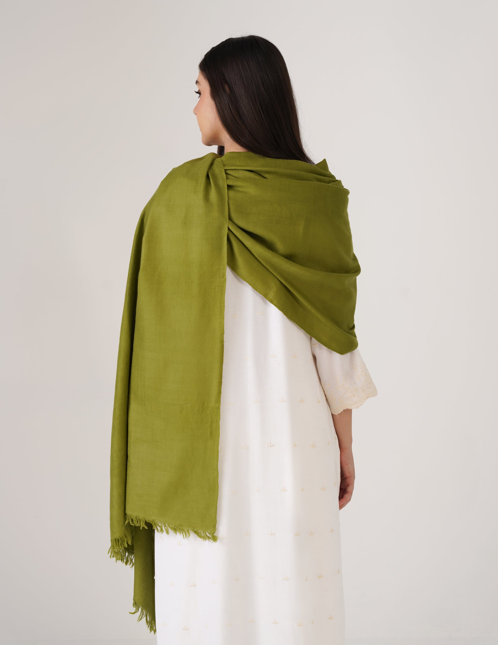 Kashmiri Handwoven Pashmina Reversible Stole – Olive Green & White Asparagus | Handwoven Heritage - Kashmir Box