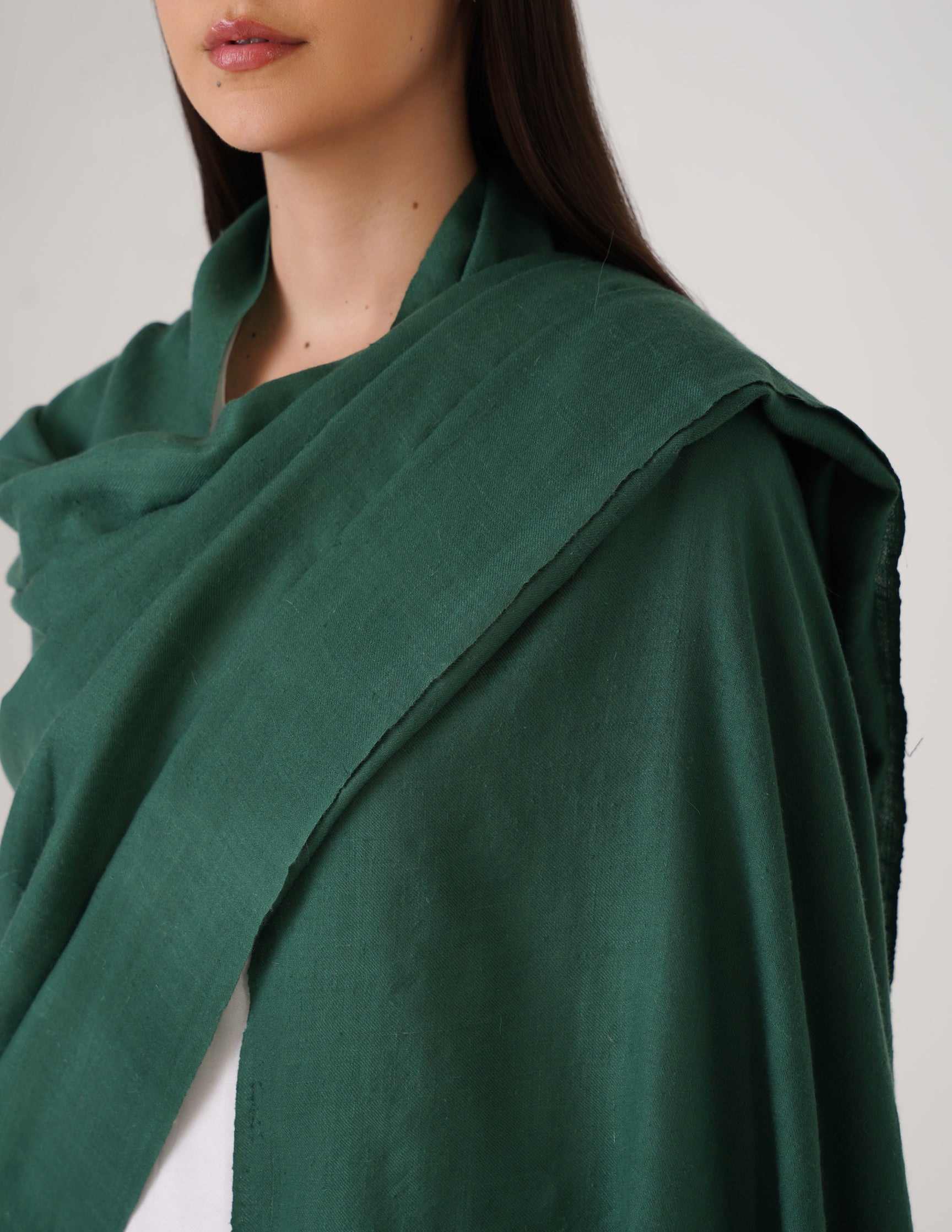 Kashmiri Handwoven Solid Cashmere Pashmina Shawl – Posy Green | Handwoven Heritage - Kashmir Box