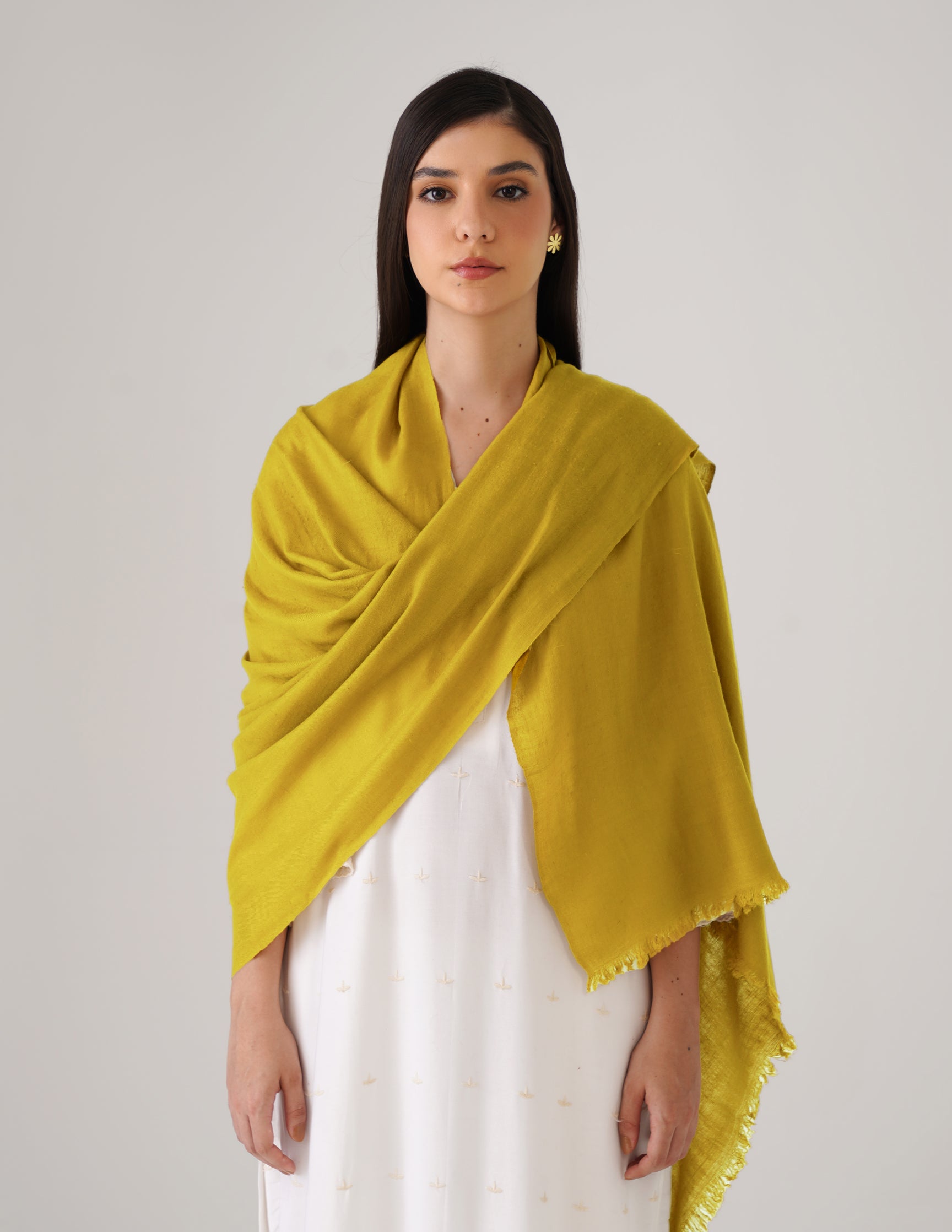 Kashmiri Handwoven Solid Cashmere Pashmina Shawl – Mustard Olive | Handwoven Heritage - Kashmir Box