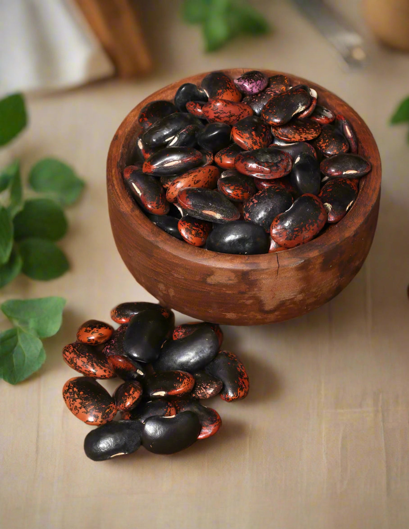 Koshur Beetle Beans - KashmirBox.com