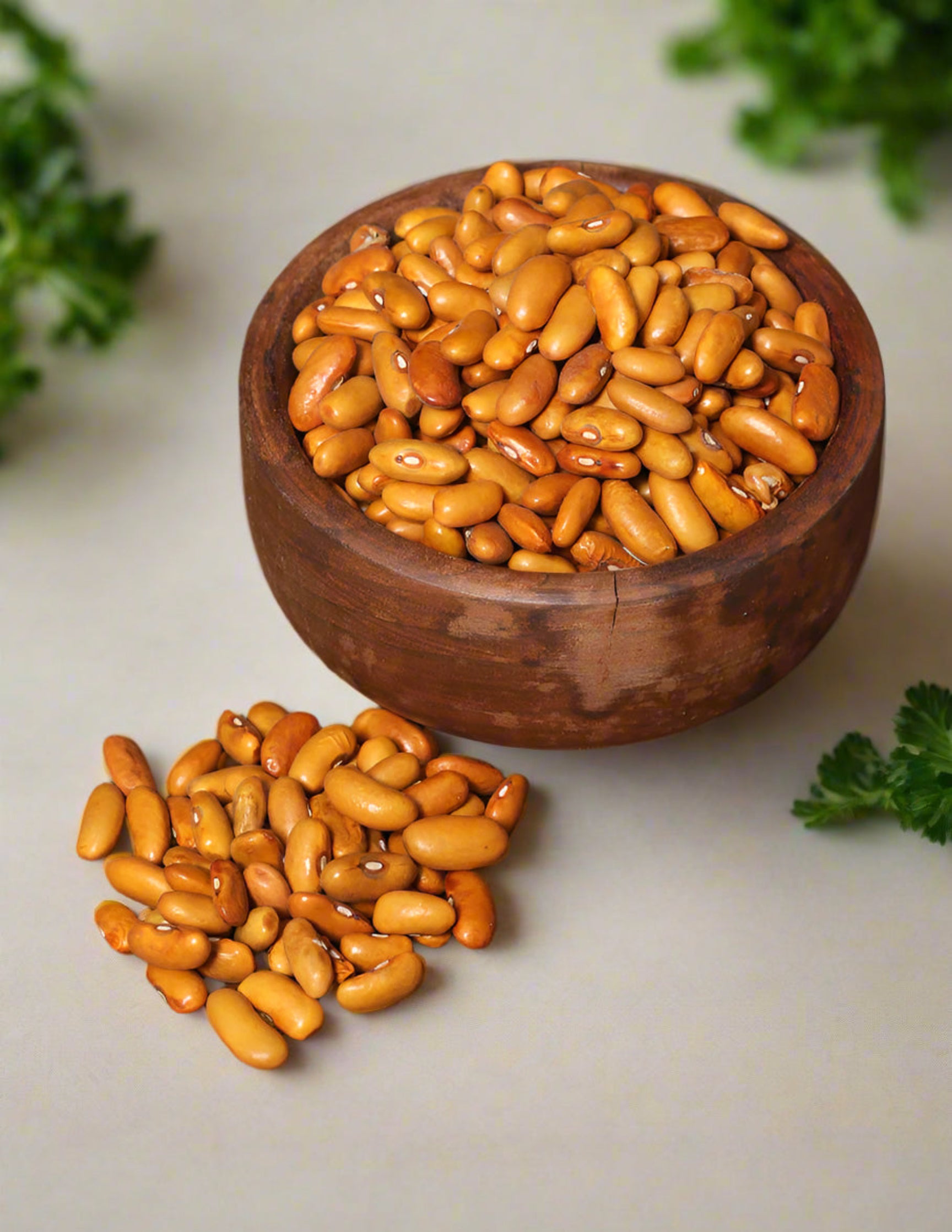 Koshur Yellow Rajma - KashmirBox.com