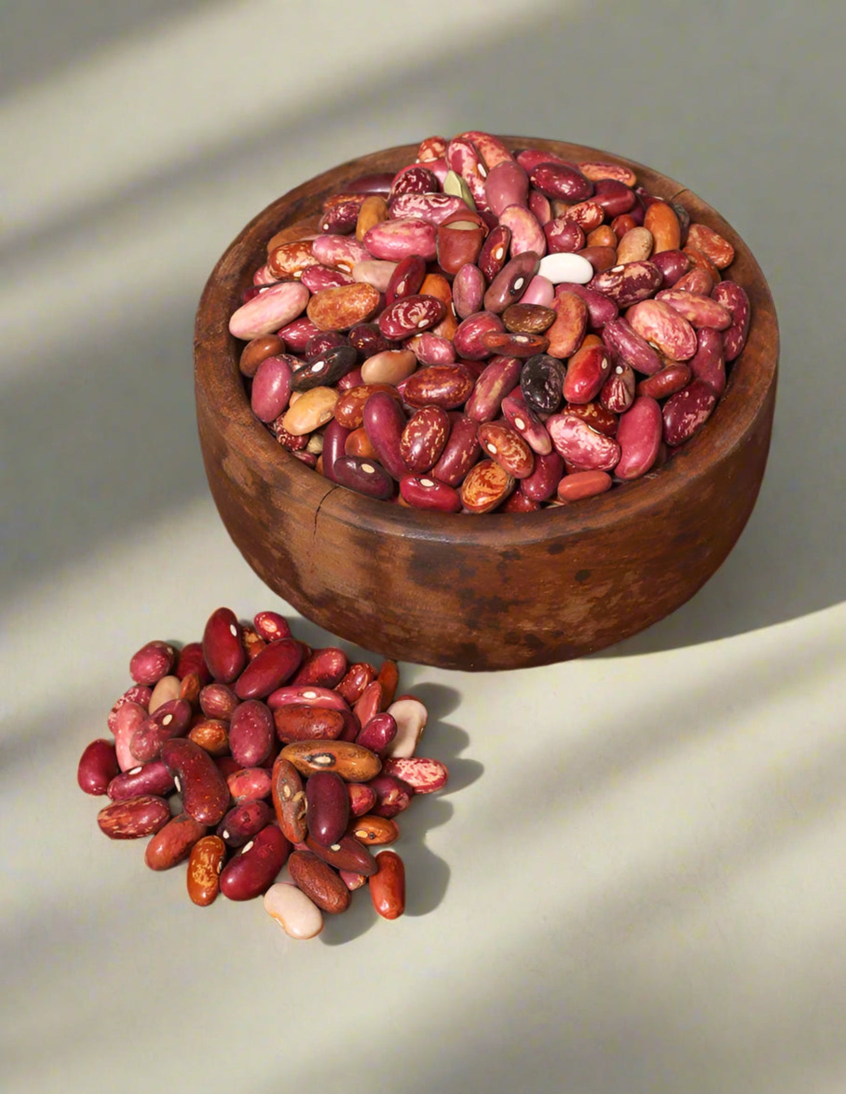 Rajma Painted Pony Red Beans - KashmirBox.com