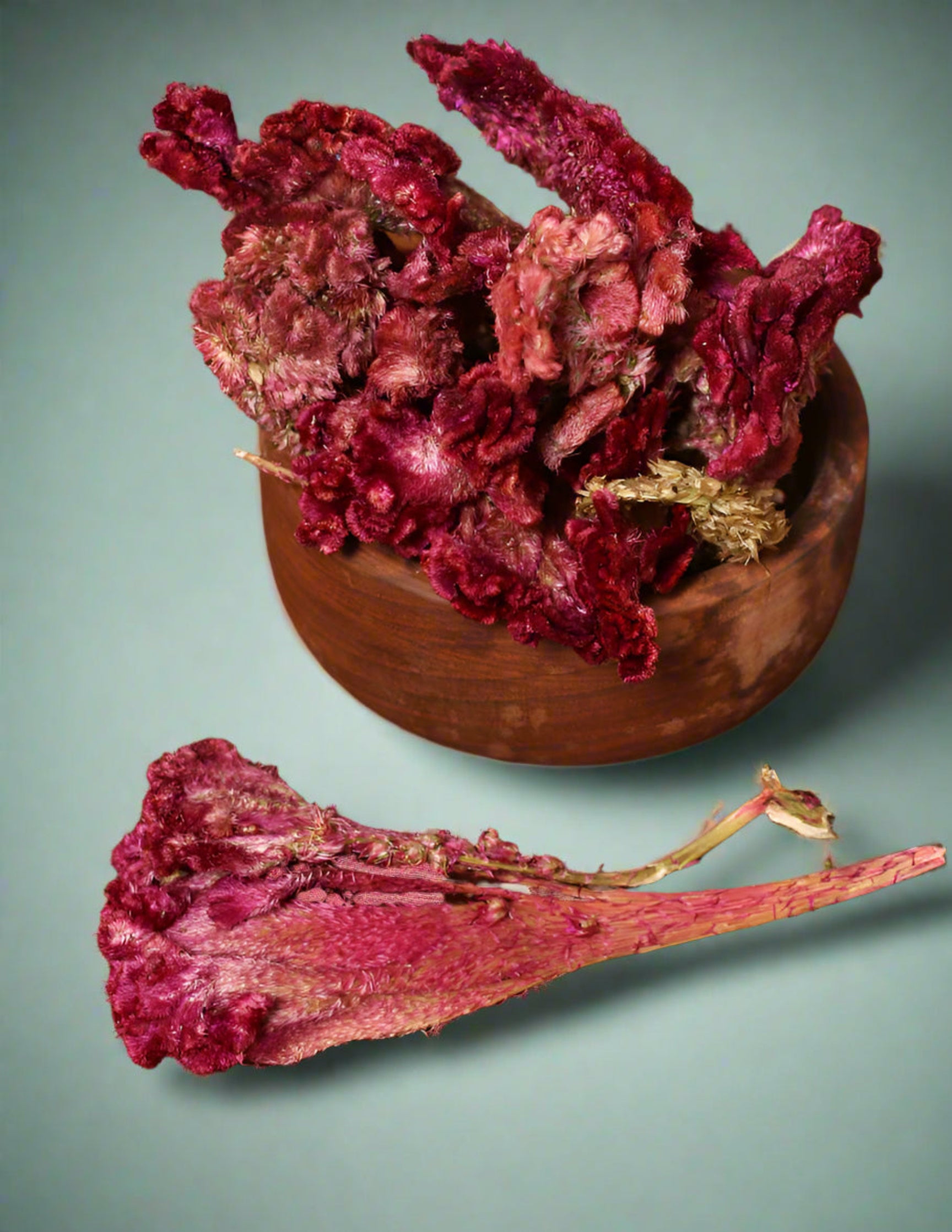 Dried Cockscomb Flower (Mawal) - KashmirBox.com