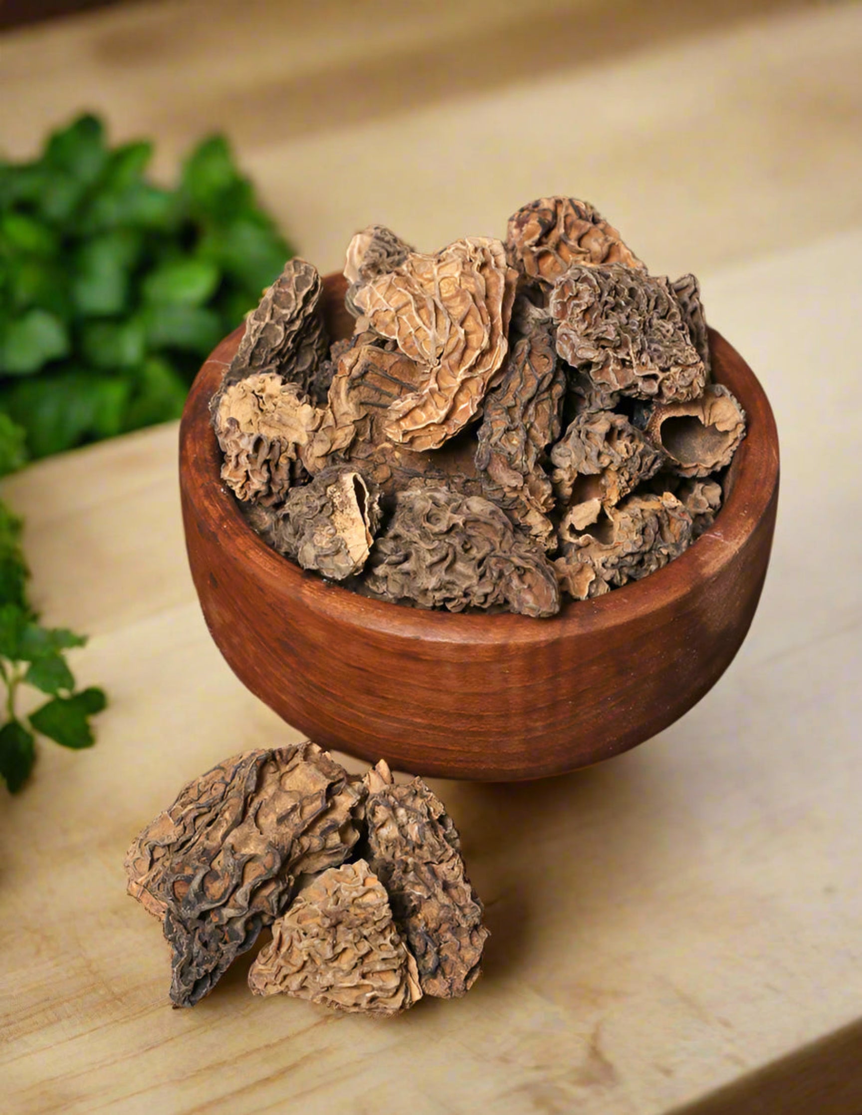 Dried Morel Mushrooms (25 Grams) - KashmirBox.com