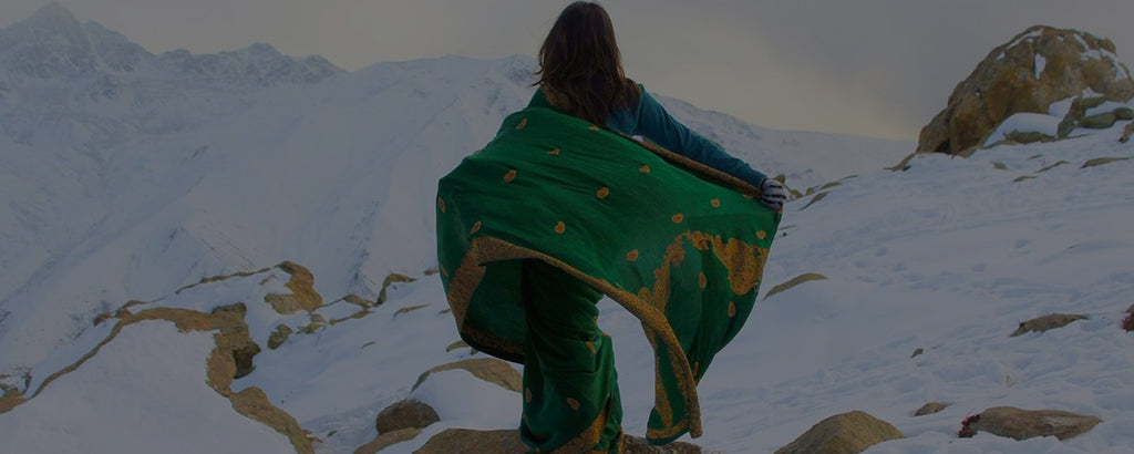 How This Solo Female Traveler In A Saree Found Kashmir