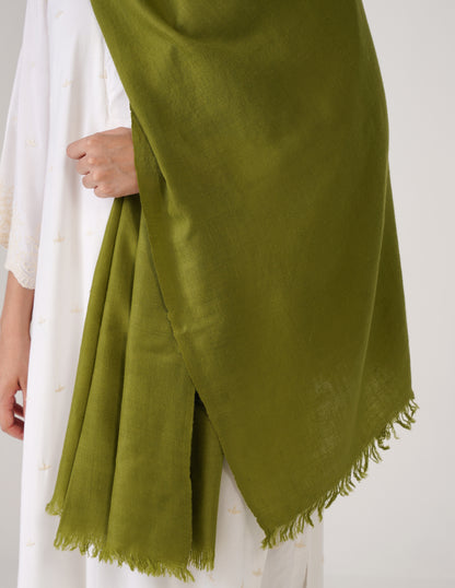 Kashmiri Handwoven Solid Cashmere Pashmina Shawl – Olive Green | Handwoven Heritage - Kashmir Box