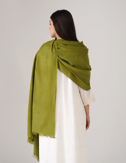 Kashmiri Handwoven Solid Cashmere Pashmina Shawl – Olive Green | Handwoven Heritage - Kashmir Box
