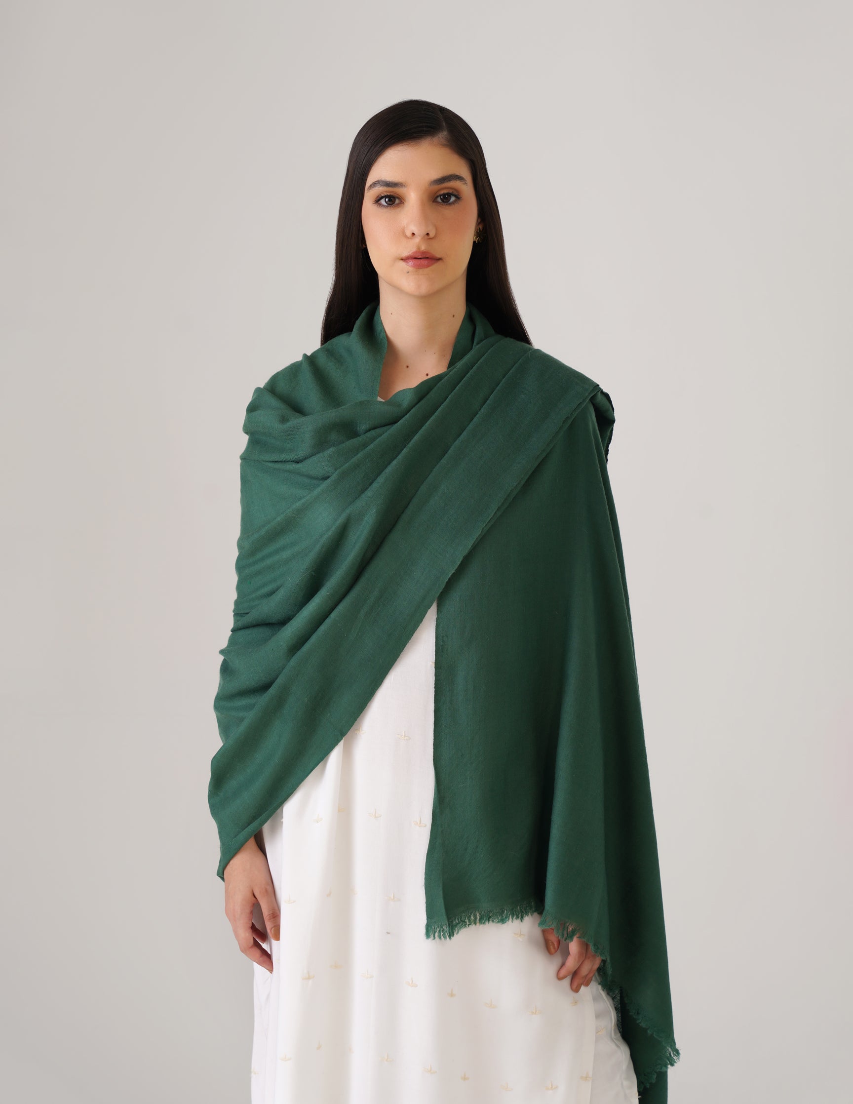 Kashmiri Handwoven Solid Cashmere Pashmina Shawl – Posy Green | Handwoven Heritage - Kashmir Box