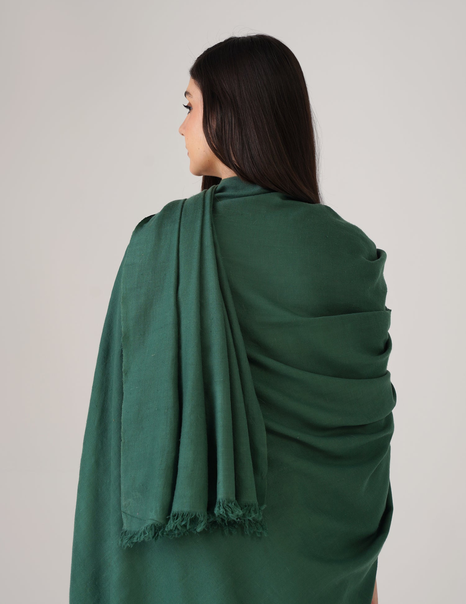 Kashmiri Handwoven Solid Cashmere Pashmina Shawl – Posy Green | Handwoven Heritage - Kashmir Box