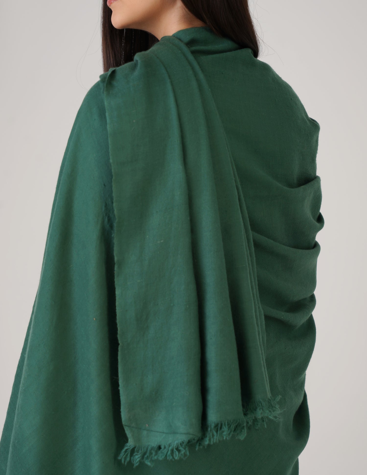 Kashmiri Handwoven Solid Cashmere Pashmina Shawl – Posy Green | Handwoven Heritage - Kashmir Box