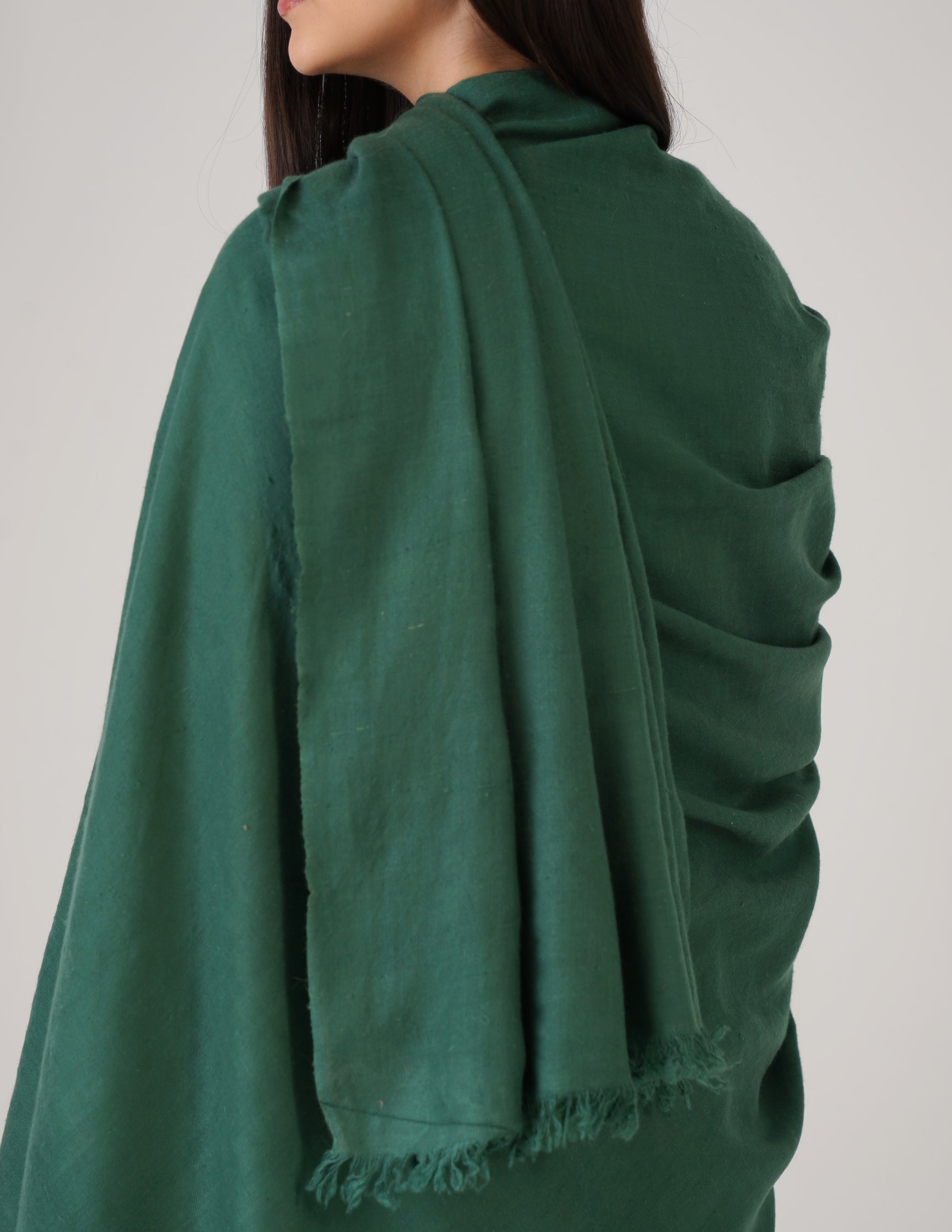 Kashmiri Handwoven Solid Cashmere Pashmina Shawl – Posy Green | Handwoven Heritage - Kashmir Box