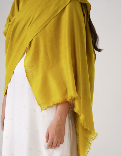 Kashmiri Handwoven Solid Cashmere Pashmina Shawl – Mustard Olive | Handwoven Heritage - Kashmir Box