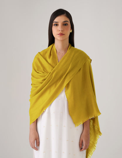 Kashmiri Handwoven Solid Cashmere Pashmina Shawl – Mustard Olive | Handwoven Heritage - Kashmir Box
