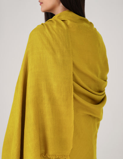 Kashmiri Handwoven Solid Cashmere Pashmina Shawl – Mustard Olive | Handwoven Heritage - Kashmir Box
