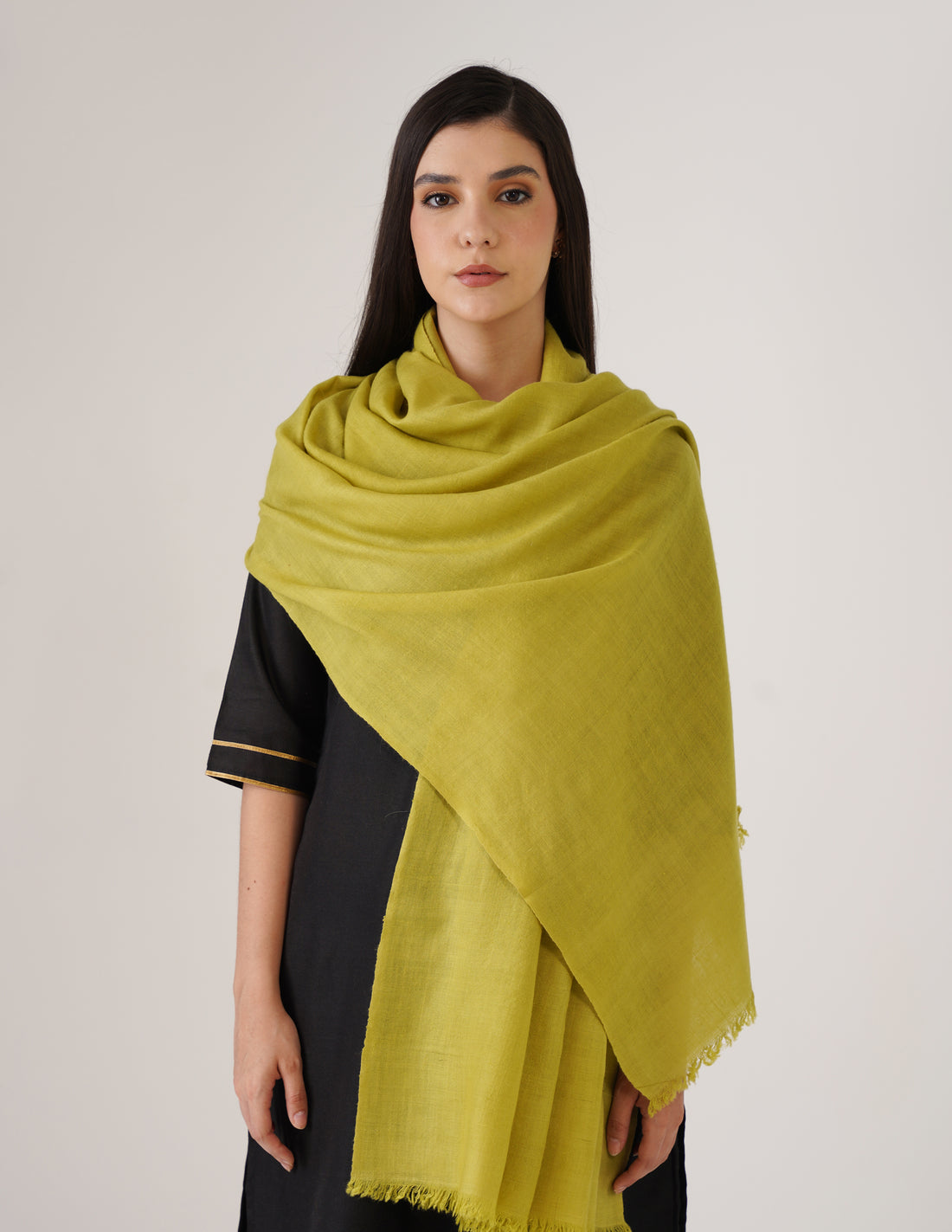 Kashmiri Handwoven Solid Cashmere Pashmina Shawl – Apple Green | Handwoven Heritage - Kashmir Box