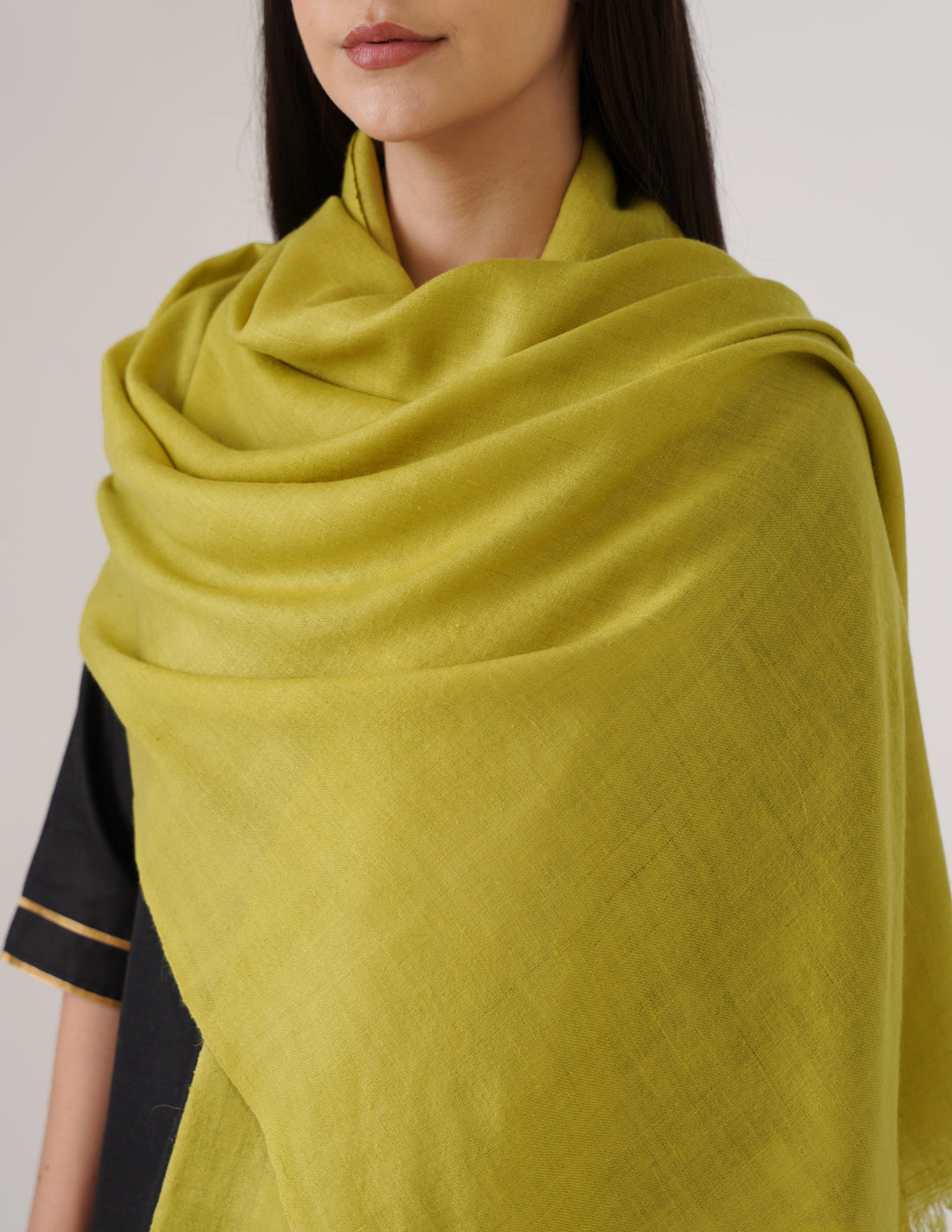 Kashmiri Handwoven Solid Cashmere Pashmina Shawl – Apple Green | Handwoven Heritage - Kashmir Box
