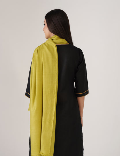 Kashmiri Handwoven Solid Cashmere Pashmina Shawl – Apple Green | Handwoven Heritage - Kashmir Box