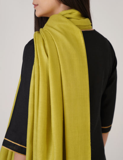 Kashmiri Handwoven Solid Cashmere Pashmina Shawl – Apple Green | Handwoven Heritage - Kashmir Box