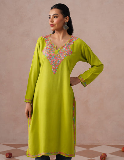 Parrot Green Rayon Kurti – Vibrant Multicolor Aari | Casual Ethnic Wear - Kashmir Box