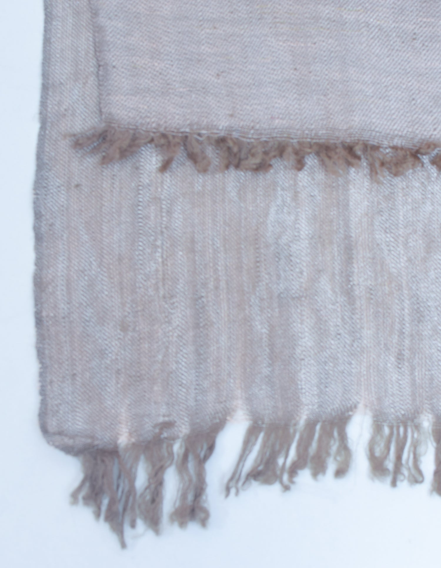 Cashmere Goats Pashmina Wool Is Obtained From Which Animal