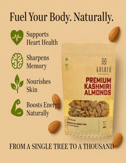 Koshur - Premium Single Tree Kashmiri Almonds | Mamra Badaam Giri  | Protein Rich | High in Natural Oils | Nuts &amp; Dry Fruits