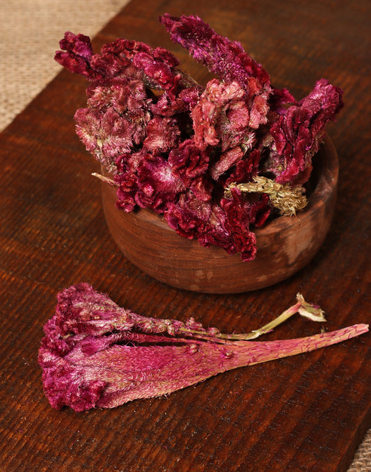Dried Cockscomb Flower (Mawal) - KashmirBox.com