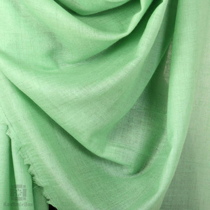 Seafoam Green Solid Cashmere Pashmina Shawl - Kashmir Box