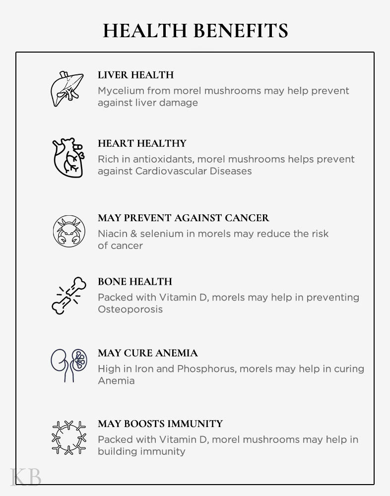 Dried Morel Mushrooms Spices And Herbs Kashmir Box