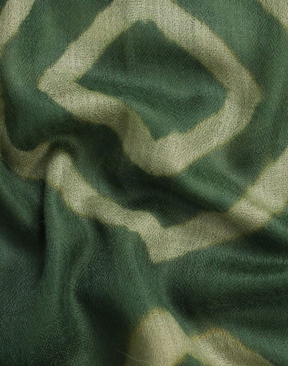 Green Dip Dye Patterned Cashmere Pashmina Scarf - Kashmir Box