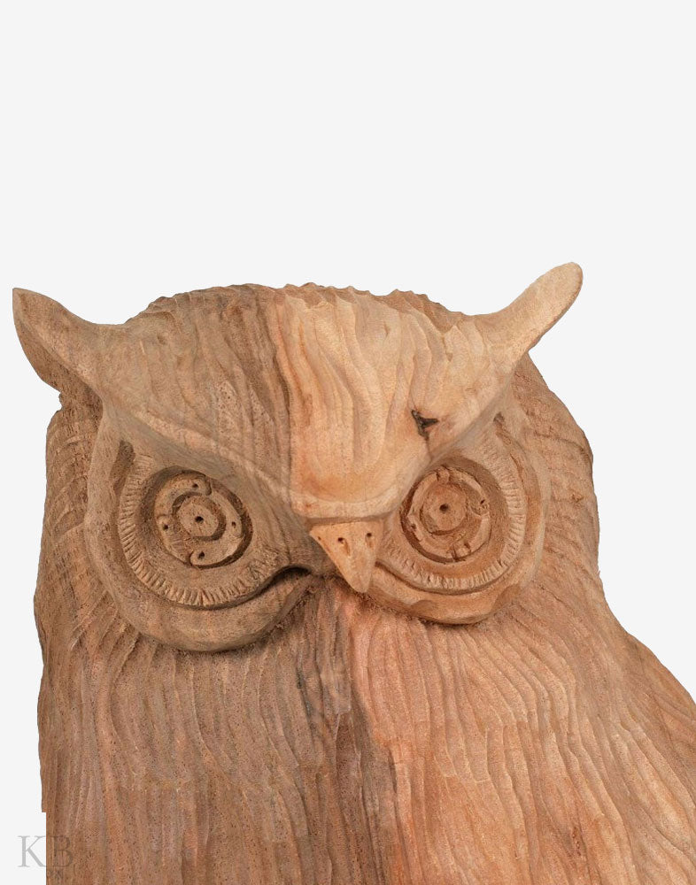 Walnut Wood Carved Curious Owl - Kashmir Box