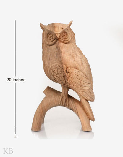 Walnut Wood Carved Curious Owl - Kashmir Box